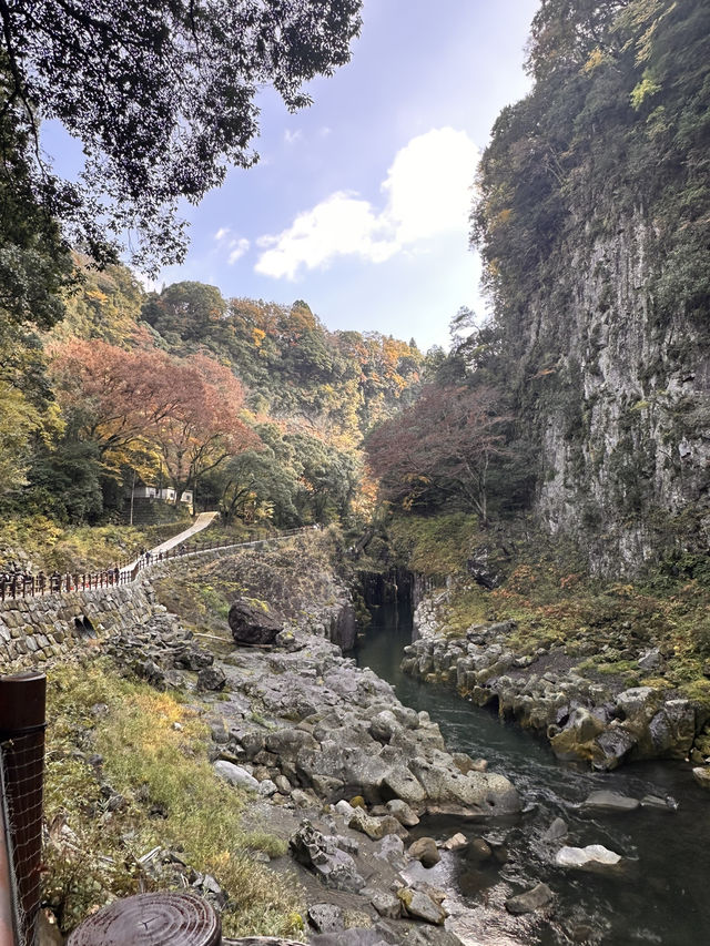 高千穗峽的🍁楓葉美到爆炸：一日遊看完我直接重刷人生
