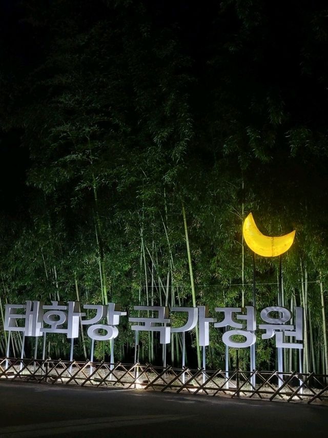 Night Magic at Ulsan’s Taehwagang National Garden 🌈✨