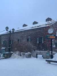 삿포로 근교 당일치기 최강 코스 = 오타루 🎐❄️