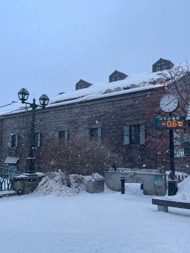 삿포로 근교 당일치기 최강 코스 = 오타루 🎐❄️