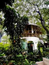 Rainforest Escape🌴