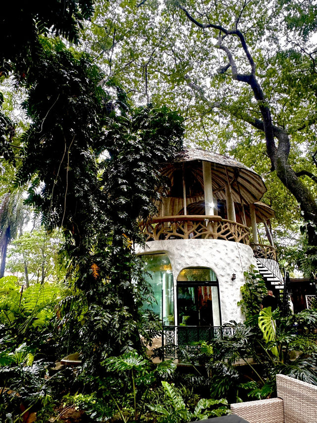 Rainforest Escape🌴 Rainforest Escape🌴