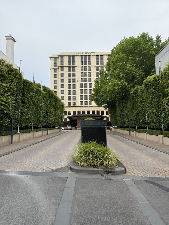 Park Hyatt Melodies🎹