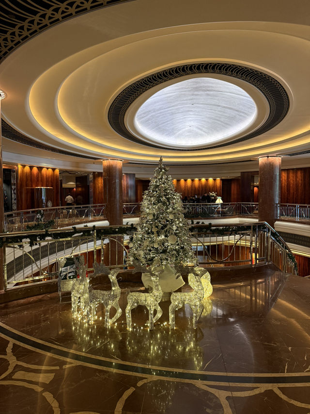 Park Hyatt Melodies🎹