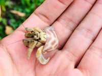 《星砂灣的雙燈塔海景，美得像沖繩一樣迷人》