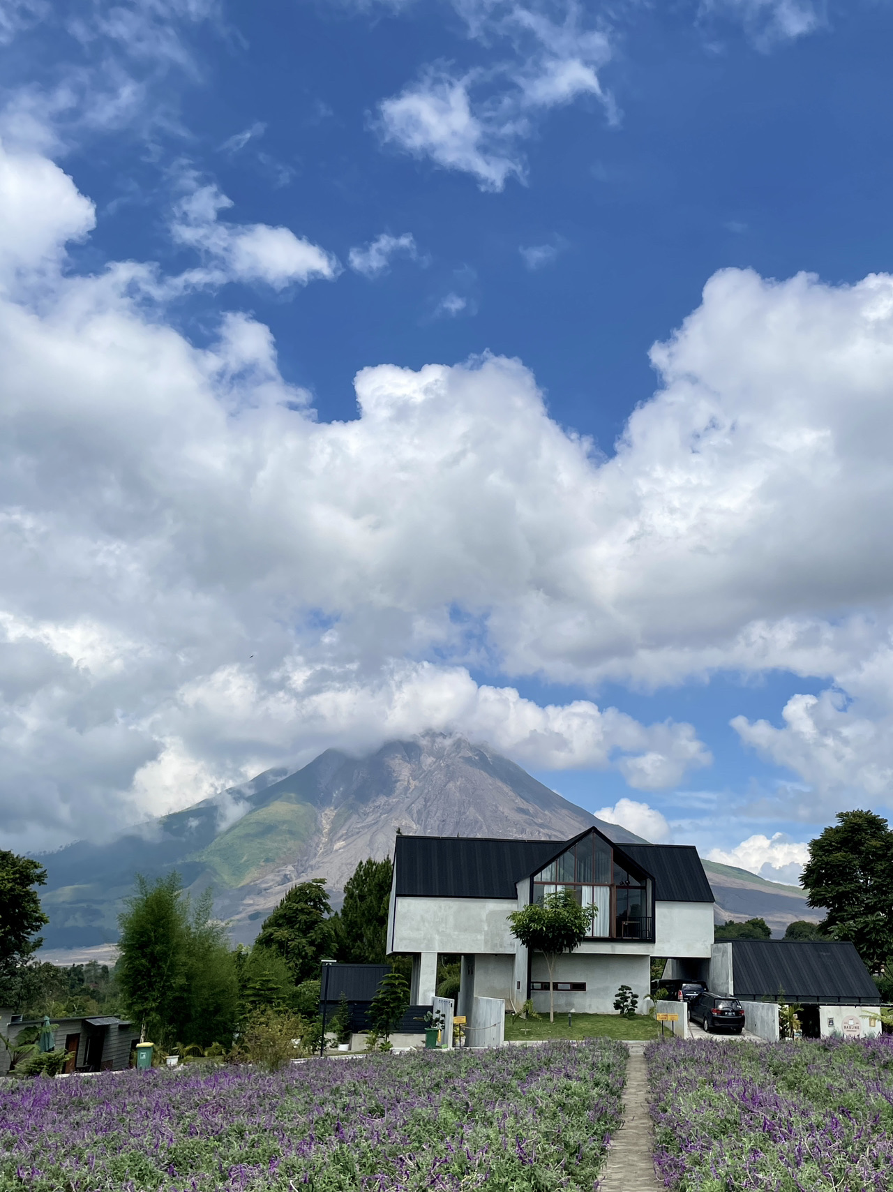 トバ湖のおすすめ完全ガイド2025年（12月更新）| Trip Moments