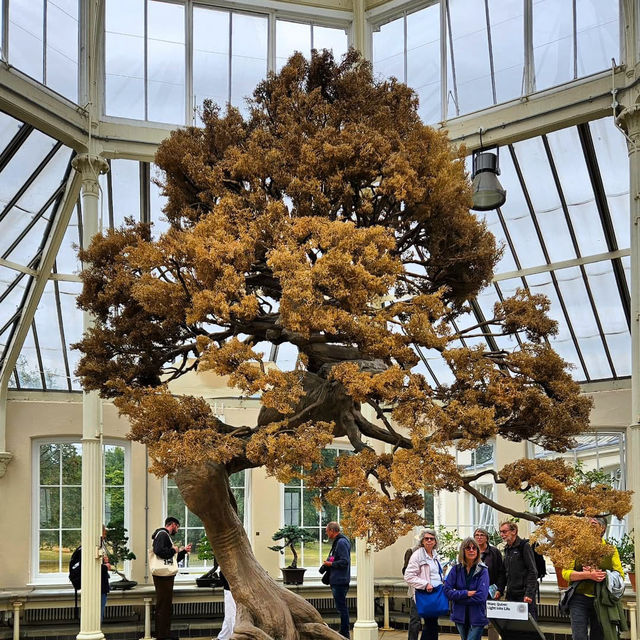 Relaxing Escape at Kew Gardens