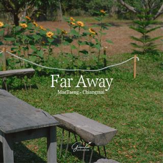 Far Away - Chiangmai 