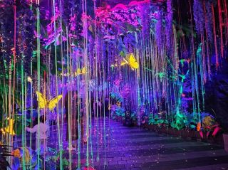 光明洞窟 (Gwangmyeong Cave) 從廢棄礦場化身超夢幻燈光洞窟。