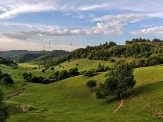 🌿 Guanshan Grassland | A Breath of Alpine Freedom