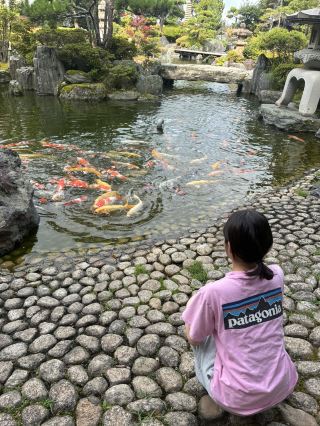 日本海側最大級となる計36室の露天風呂付き客室を誇る人気の老舗温泉旅館