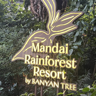 Singapore's Most Therapeutic New Hotel | Step Into the Rainforest for a Zero-Distance Encounter with Nature .