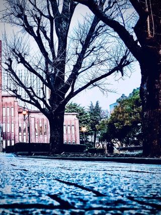 Fukagawa Fudoson’s Monthly 1st/15th/28th Festival Daysslowtraveling