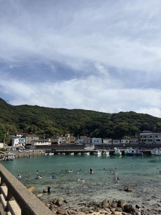 [Коти] Остров Касивадзима: кристально чистое море и встреча с дикими дельфинами.