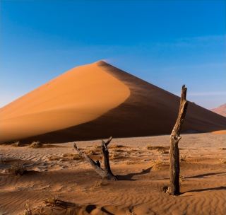 納米比亞紅沙漠的迷人魅力：蘇索斯維利 (Sossusvlei) 與死亡谷 (Deadvlei) 