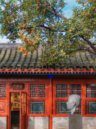 Waiting for Autumn in Beijing 🍂