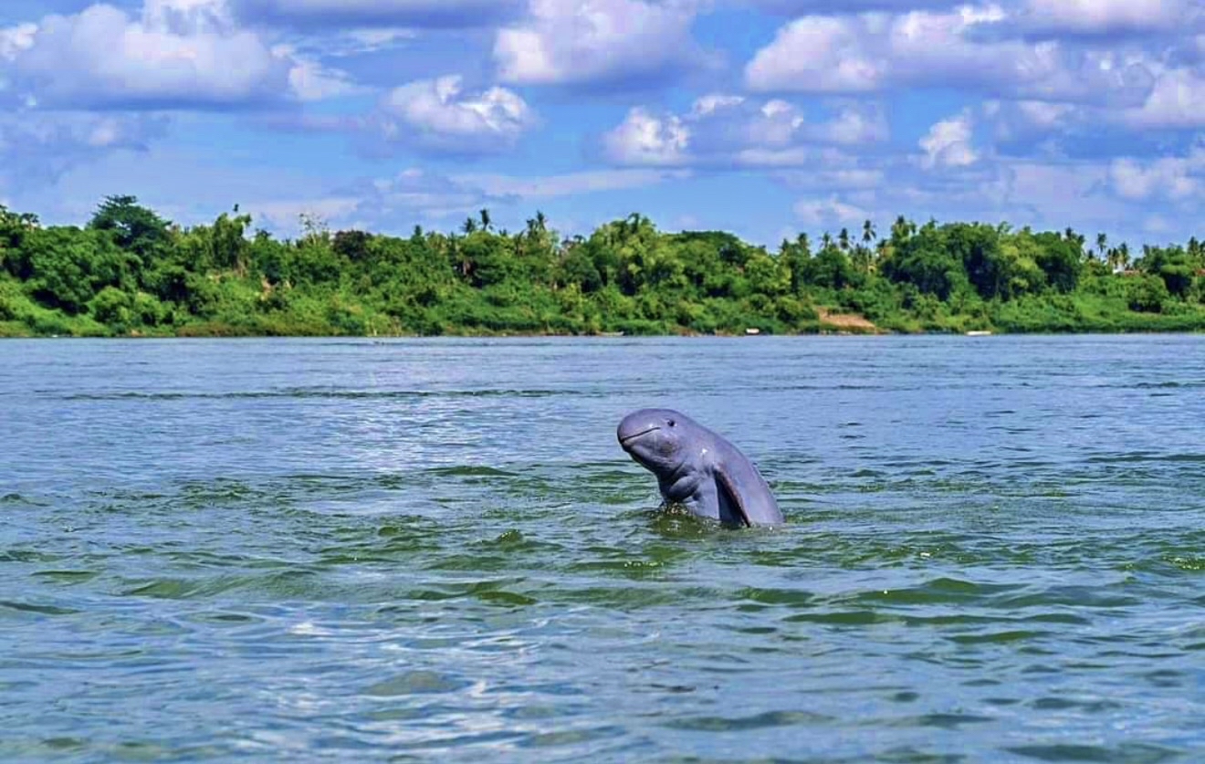 Kratie Private Tour: Mekong Dolphins, Island Life & Golden Sunsets