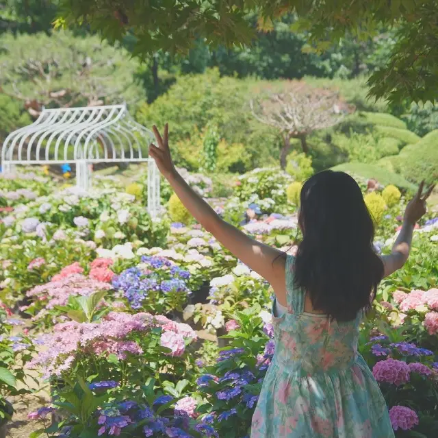 서울 근교 수국 명소 경기도 광주 율봄 식물원💐