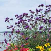 Weekend Trip to Traverse City