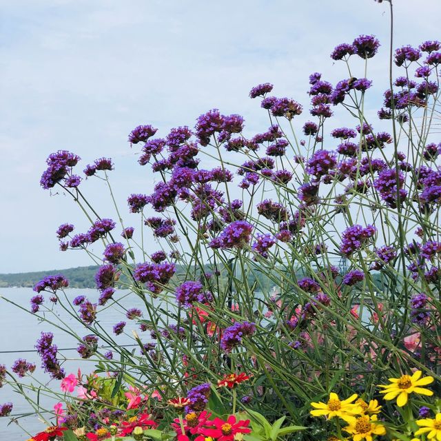 Weekend Trip to Traverse City