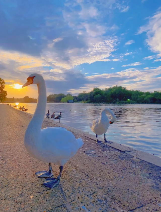 倫敦海德公園 Hyde Park