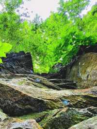 Roots, Rocks, and Rivers: Exploring Grand Ledge’s Hidden Trails