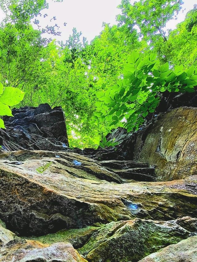 Roots, Rocks, and Rivers: Exploring Grand Ledge’s Hidden Trails