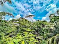 濱海灣花園