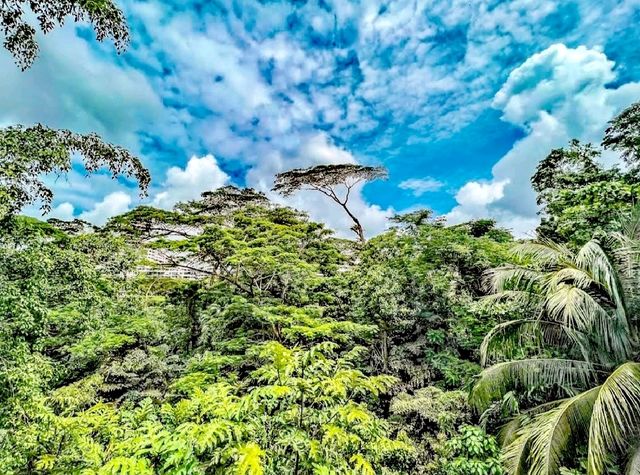 濱海灣花園