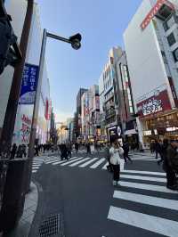 8 Days in Tokyo