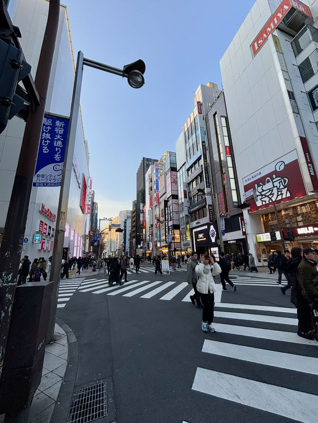 8 Days in Tokyo