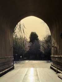 Evening Stroll Around the Palace Museum
