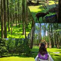 Must visit Macha Lake in Hangzhou