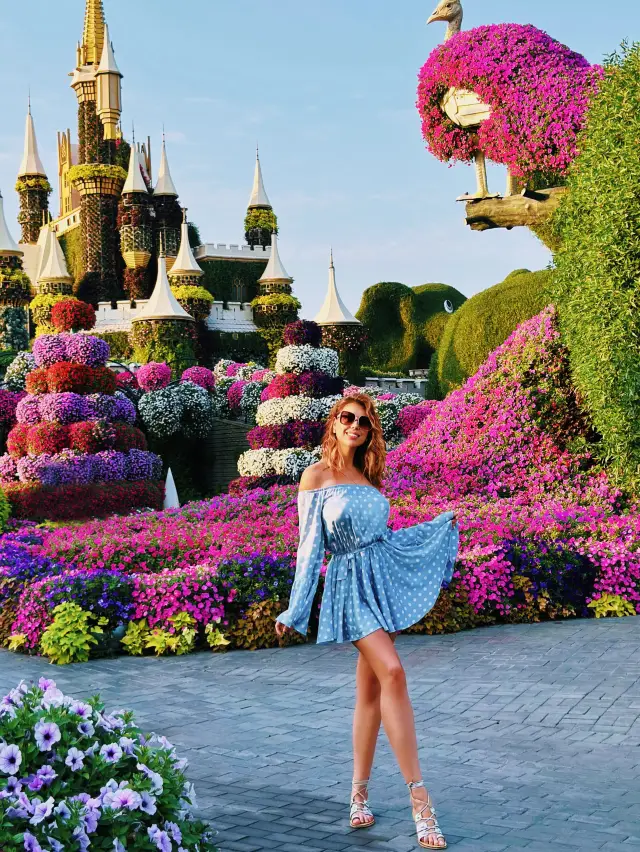 世界上最大的花卉公園。迪拜。