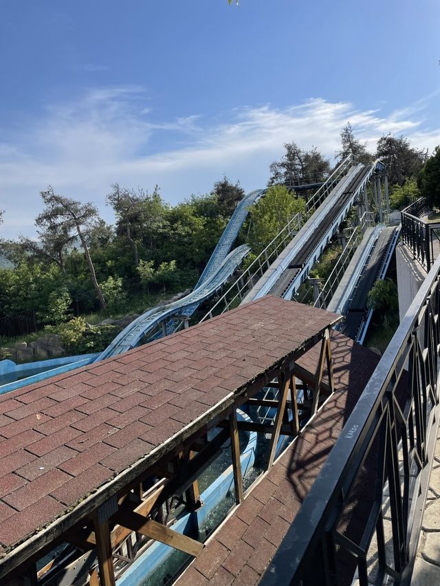 【ジョージア🇬🇪/丘の上の遊園地『ムタツミンダ公園⛲️』】