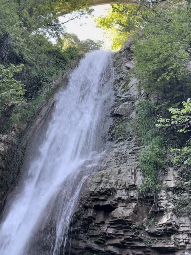 【ジョージア🇬🇪/自然豊かな巨大な植物園 】