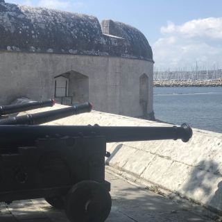 光榮的波特蘭！