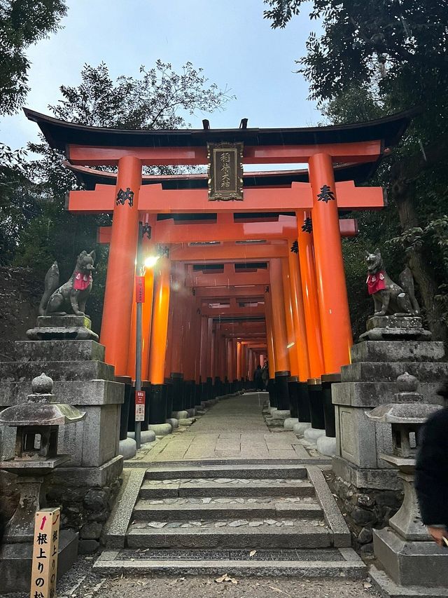 Exploring Kyoto's Fushimi Inari Shrine