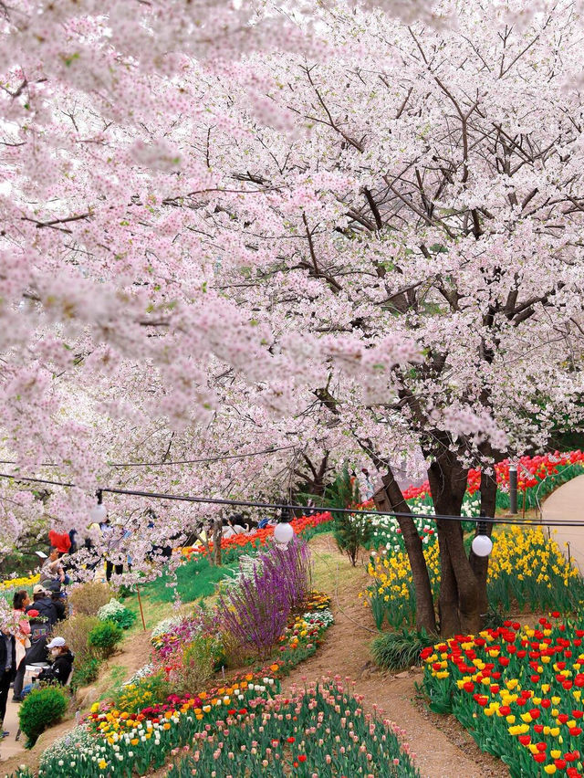 안산 연희숲속쉼터 🌺🌸