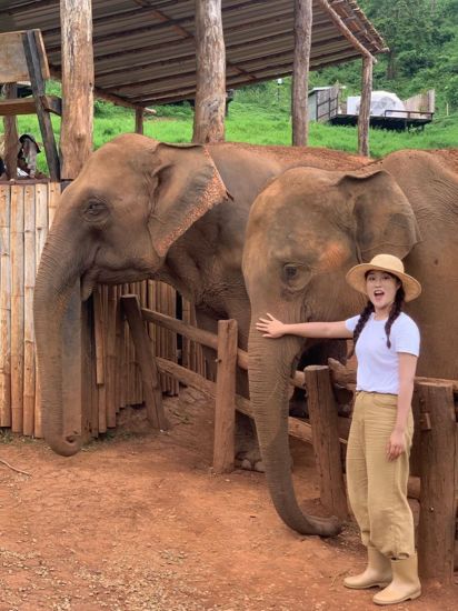 🐘코끼리랑 교감할 수 있는 치앙마이카페 🏡