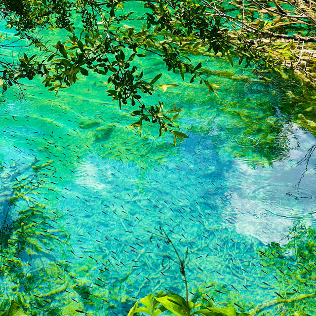 The magical national park of CROATIA 🇭🇷 