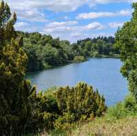 Blenheim Palace - English history at it's finest 