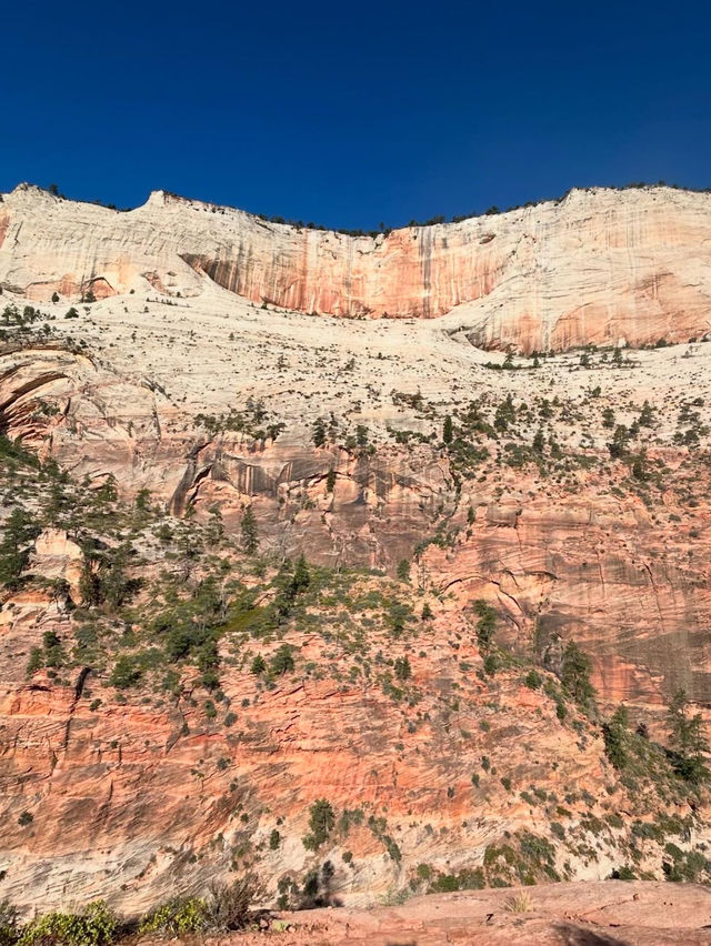 A visit to the National Park 🇺🇸
