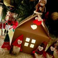 Santa Claus Under the Christmas Tree!  