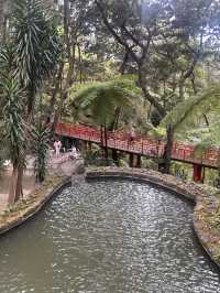 A garden paradise 
