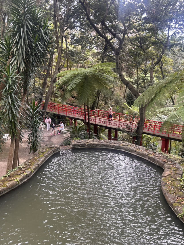 A garden paradise 