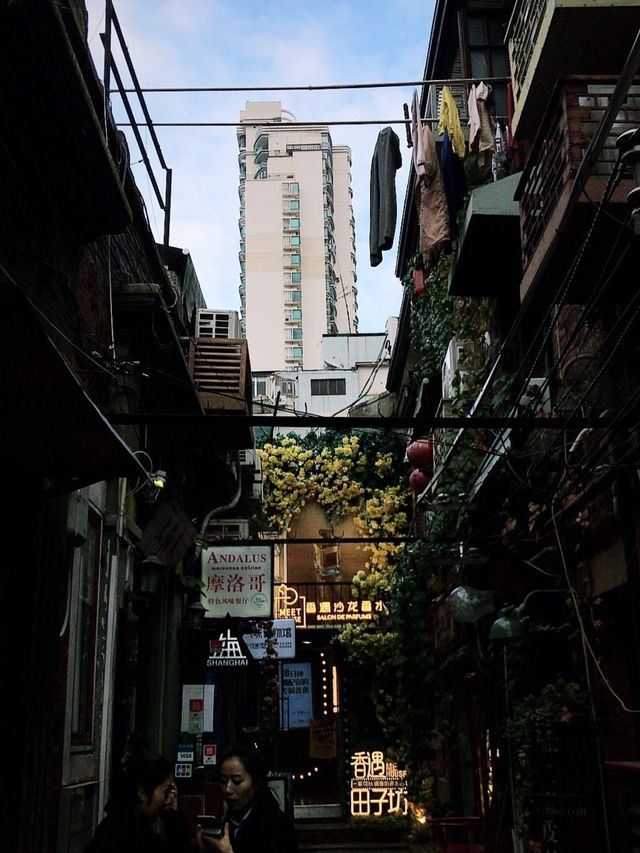 🌆 Shanghai Transit Adventure: The Bund, Yu Garden & Lujiazui