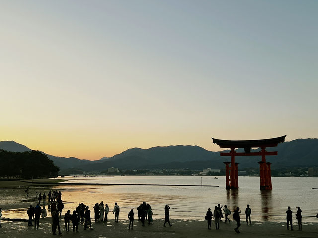 人生で一度は訪れるべき神秘の場所、広島・厳島神社🇯🇵✈️🌏 