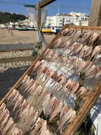 🇵🇹 포로투갈의 멋진 나자레 해변