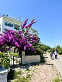 Istanbul Hidden Gem: Kınalıada🇹🇷